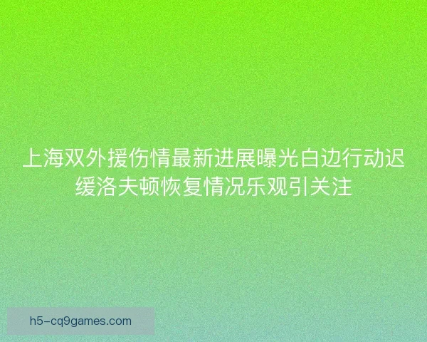 上海双外援伤情最新进展曝光白边行动迟缓洛夫顿恢复情况乐观引关注